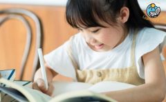 giới thiệu khóa học viết nghị luận