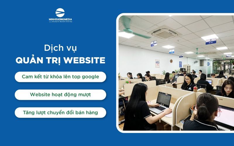 Dịch Vụ Chăm Sóc Nội Dung Website