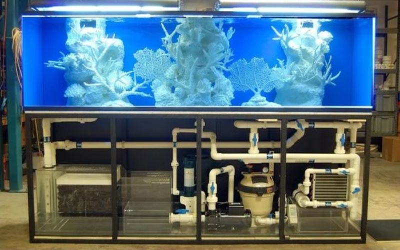 Phụ Kiện Bể Cá Cảnh