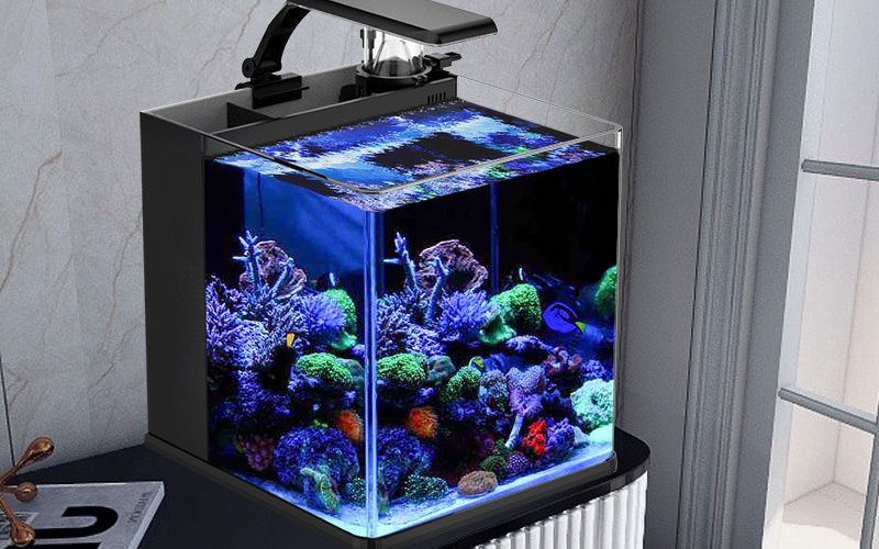 4. Thiết bị cần chuẩn bị để làm bể cá cảnh nước mặn