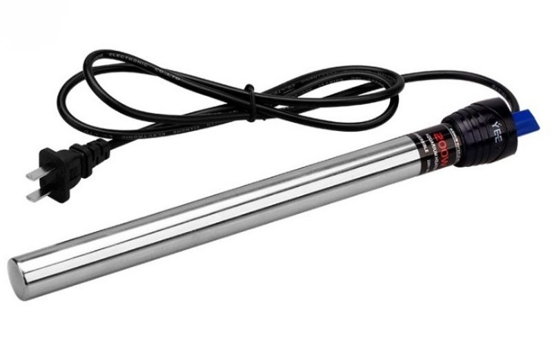 Hậu quả của việc chọn sai máy sưởi bể cá cảnh