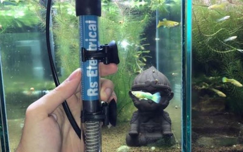 Những sai lầm phổ biến khi mua máy sưởi mà người chơi hay mắc phải