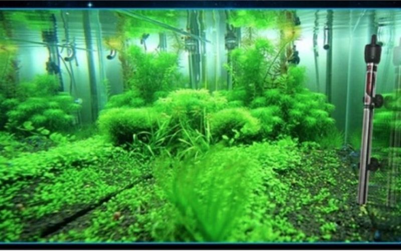 Cách lắp đặt máy sưởi để tối ưu hóa hiệu quả