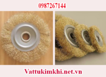 Chổi đánh rỉ đĩa